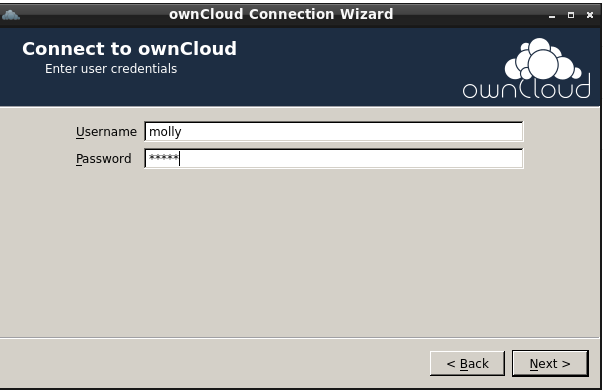 form for entering your ownCloud login